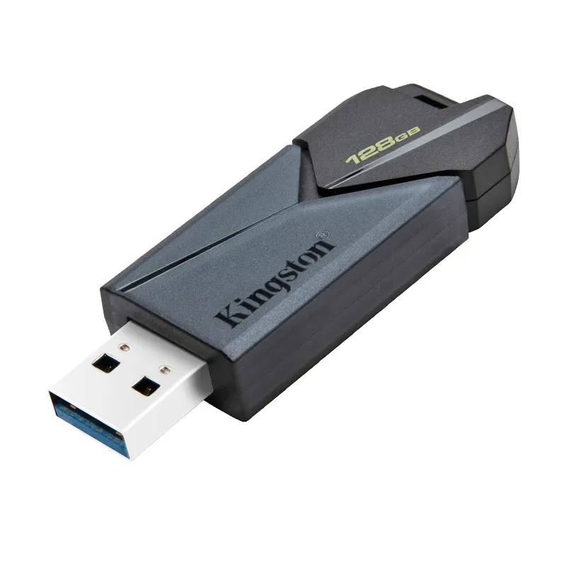 Kingston DataTraveler Flash Disk