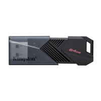 Kingston DataTraveler Flash Disk