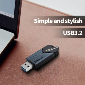 Kingston DataTraveler Flash Disk