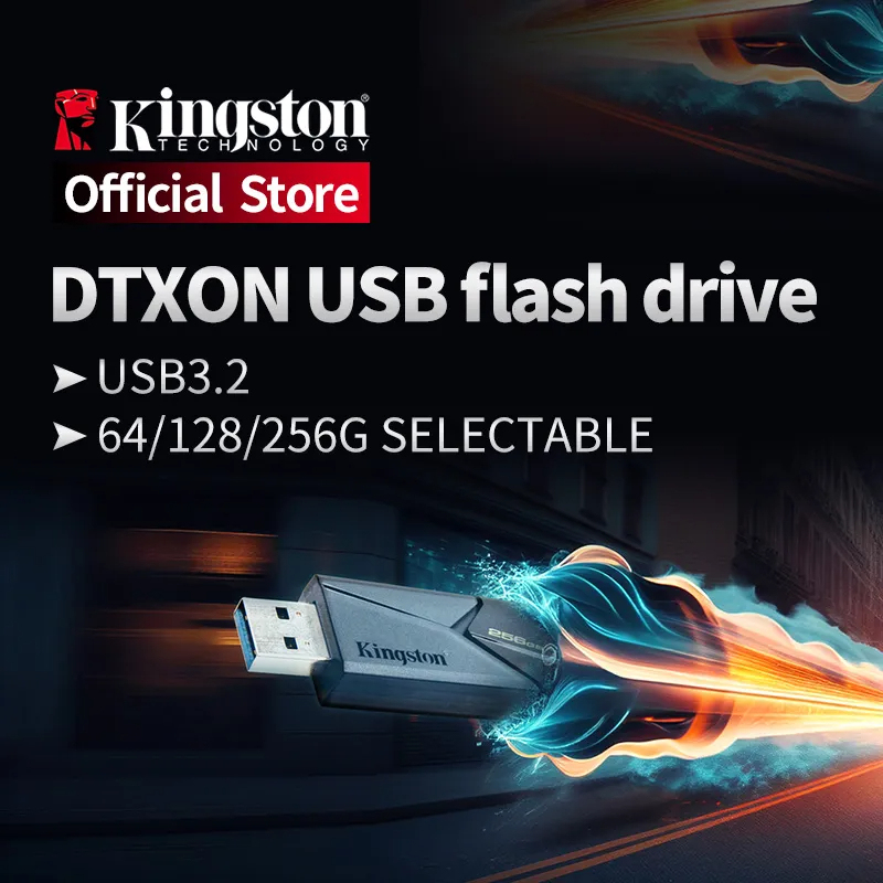 Kingston DataTraveler Flash Disk