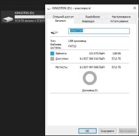 Kingston DataTraveler Flash Disk