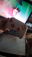 8Bitdo Ultimate C Bluetooth Nintendo Switch