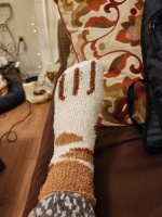 Girls Cute Cat Claw Socks