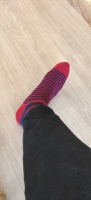 Men's Cotton Colorful Socks (5 Pairs)