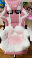 Ergonomic Gaming Chair Gamer Chairs  (USA Delivery Only)