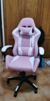 Ergonomic Gaming Chair Gamer Chairs  (USA Delivery Only)