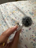 Wireless Lavalier Microphone