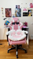 Ergonomic Gaming Chair Gamer Chairs  (USA Delivery Only)