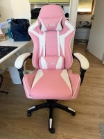 Ergonomic Gaming Chair Gamer Chairs  (USA Delivery Only)