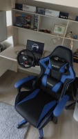 Ergonomic Gaming Chair Gamer Chairs  (USA Delivery Only)