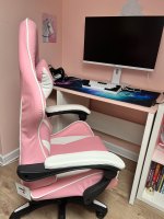Ergonomic Gaming Chair Gamer Chairs  (USA Delivery Only)