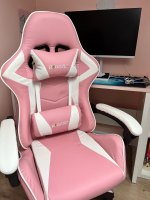 Ergonomic Gaming Chair Gamer Chairs  (USA Delivery Only)