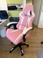 Ergonomic Gaming Chair Gamer Chairs  (USA Delivery Only)