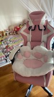 Ergonomic Gaming Chair Gamer Chairs  (USA Delivery Only)