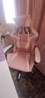 Ergonomic Gaming Chair Gamer Chairs  (USA Delivery Only)